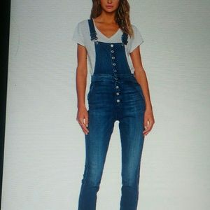 Anthropologie  denim button down overalls